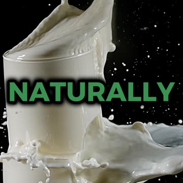 🌿 Moringa: Nature’s Nutrient Tsunami – Fuel Your Body Naturally! 💥