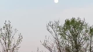 What a beautiful spring evening!