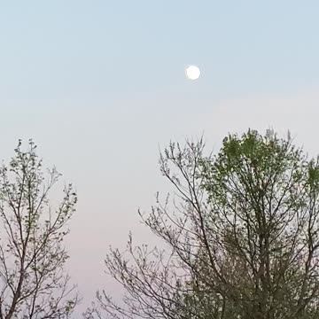 What a beautiful spring evening!