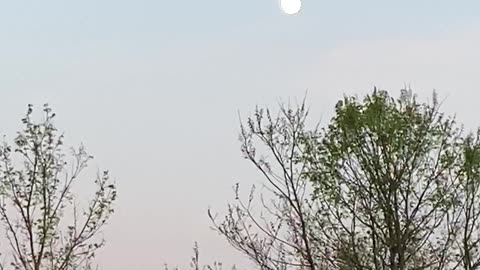 What a beautiful spring evening!