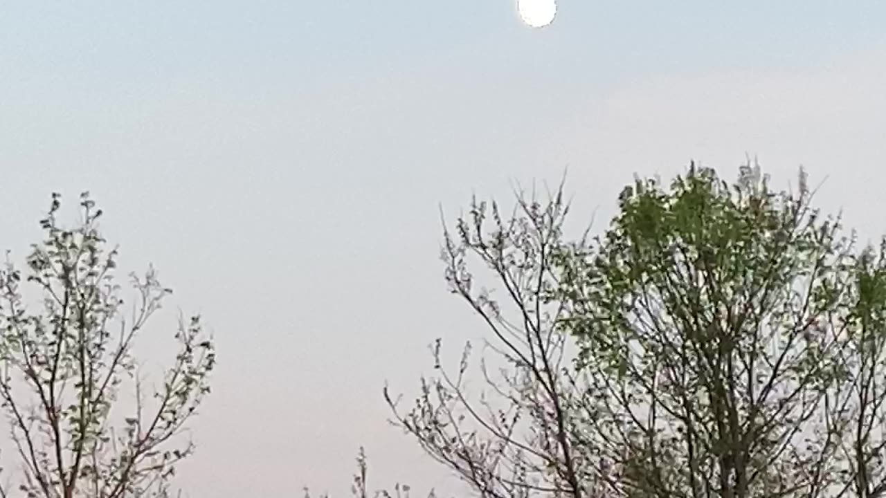 What a beautiful spring evening!
