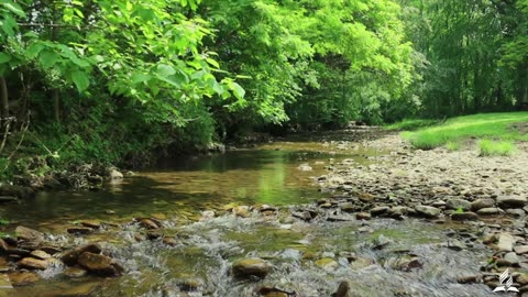 Wednesday June 18 - Family Worship - Live Stream - Mountain View Camp Meeting 2025