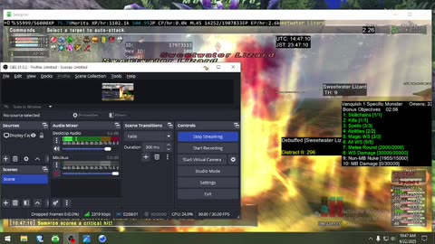 Playing Final Fantasy XI Online