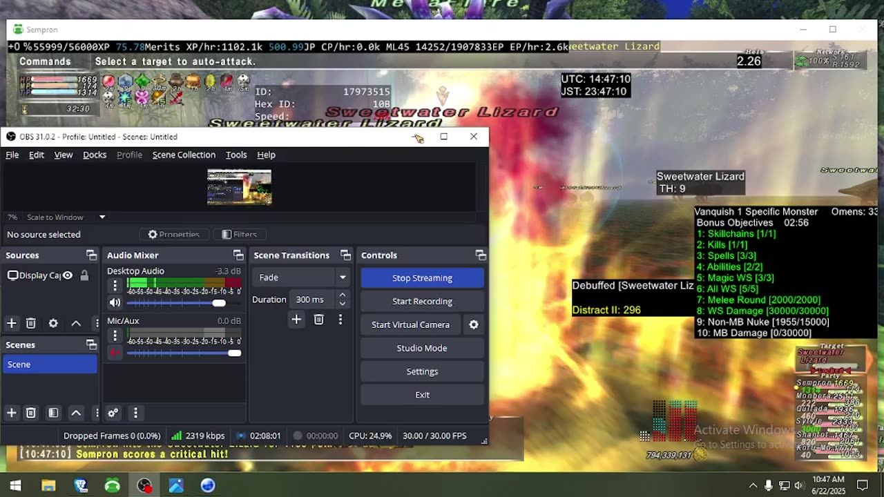 Playing Final Fantasy XI Online