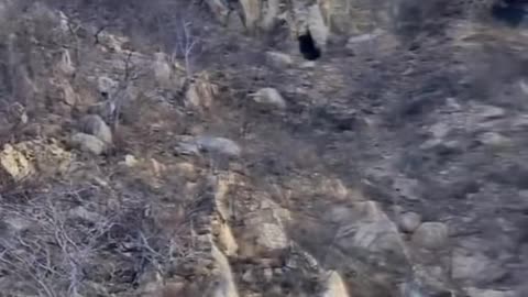 😨👻 50 Seconds of Paranormal Chaos! | TheHauntingHour