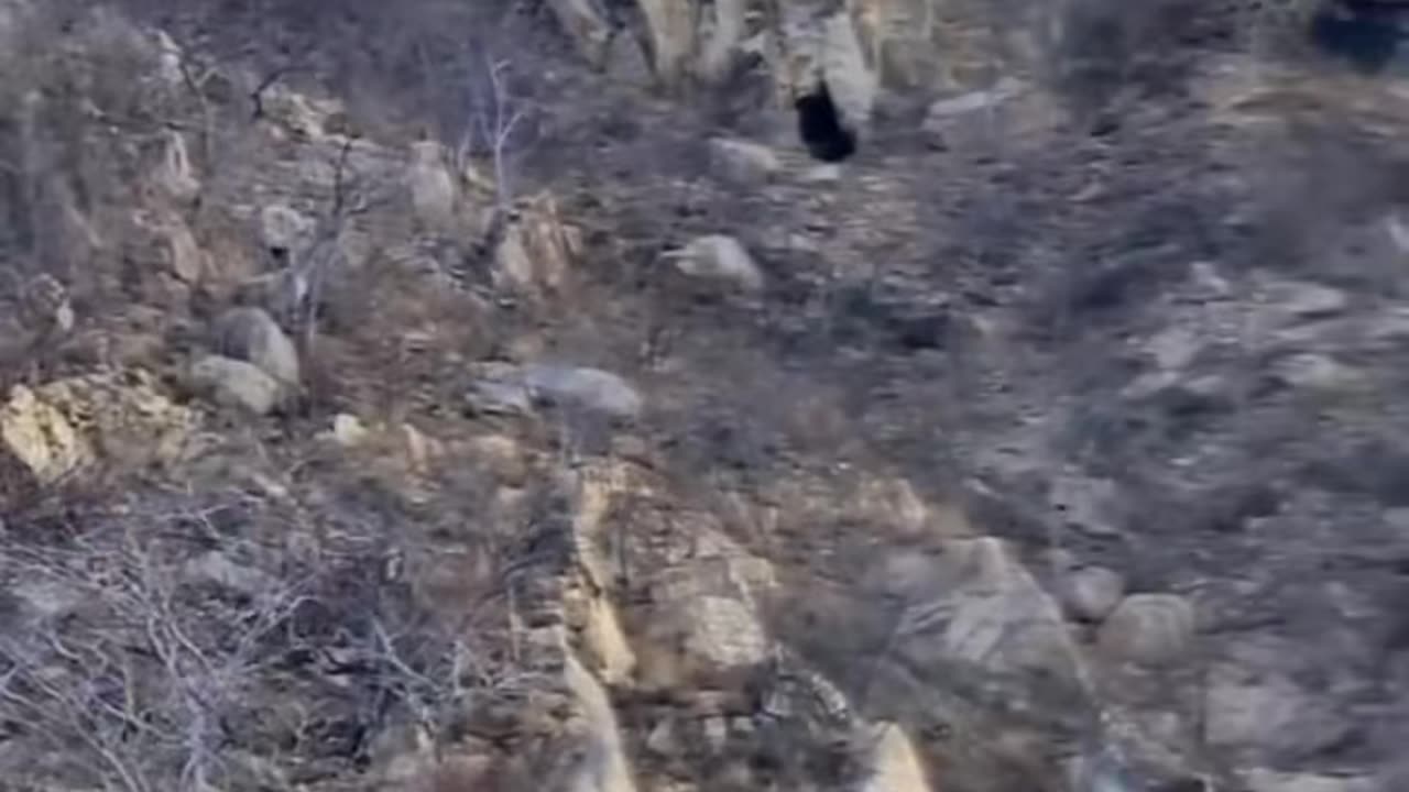 😨👻 50 Seconds of Paranormal Chaos! | TheHauntingHour