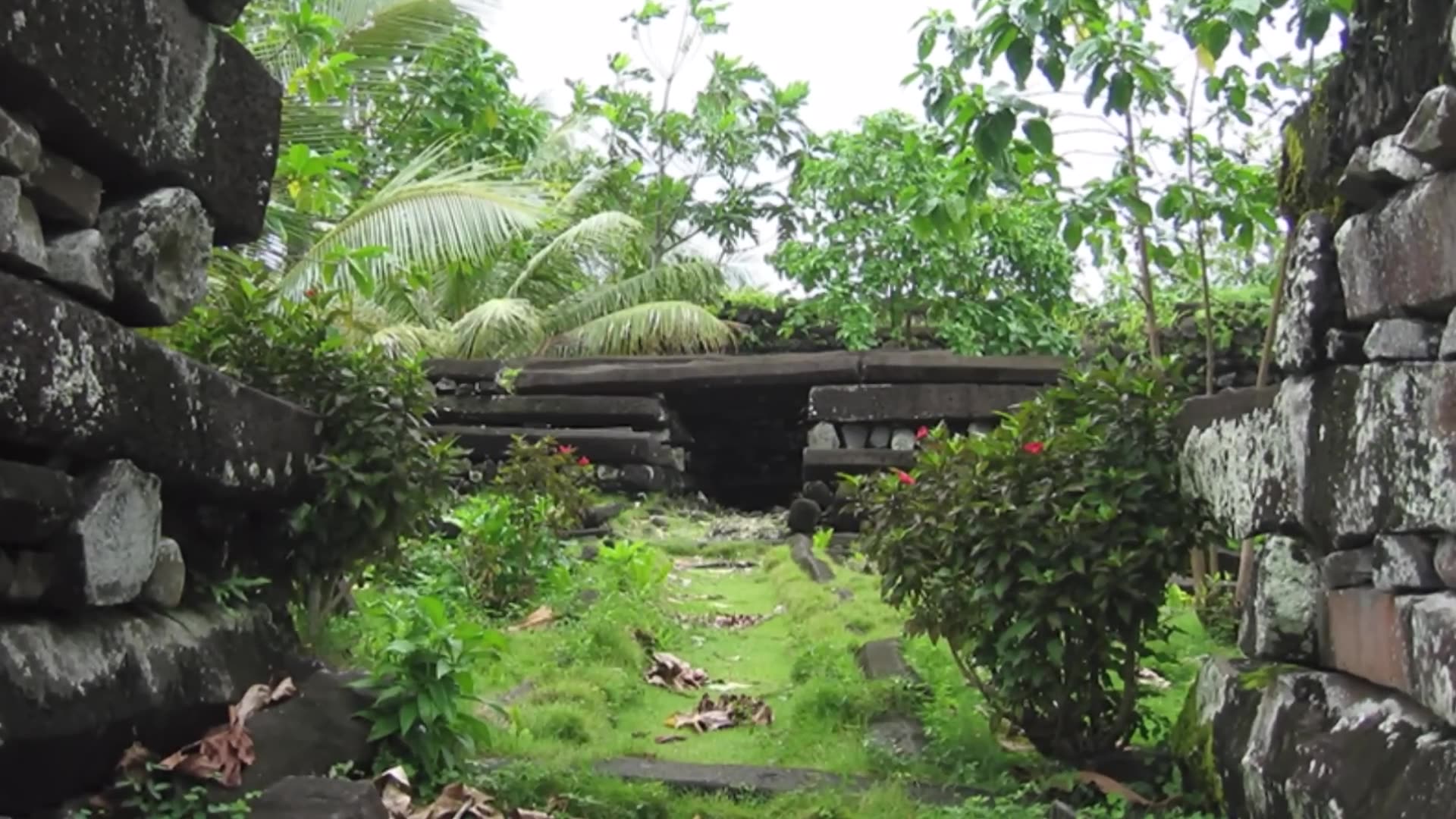 Compilation Weird Bizarre Stories