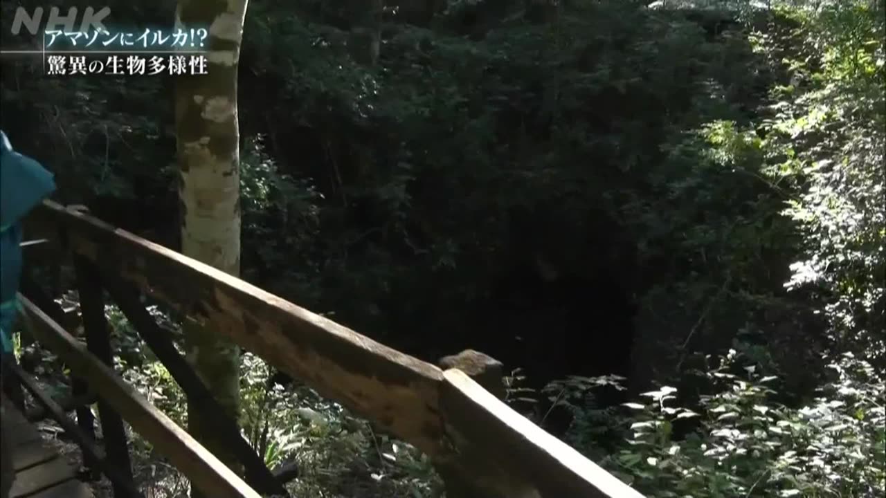 驚き！地球！グレートネイチャー 「不思議の大河 アマゾン」