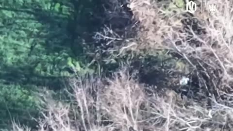 Don't Stand, Don't Stand, Don't Stand So Close to Me