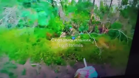War in ukraine
