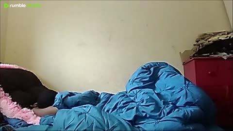 Sleep Stream