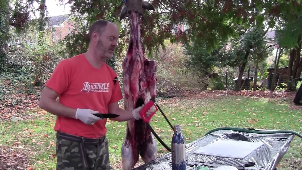 Basic Deer Processing