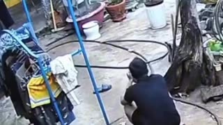 😂🐦 To Save the Bird | FunFM