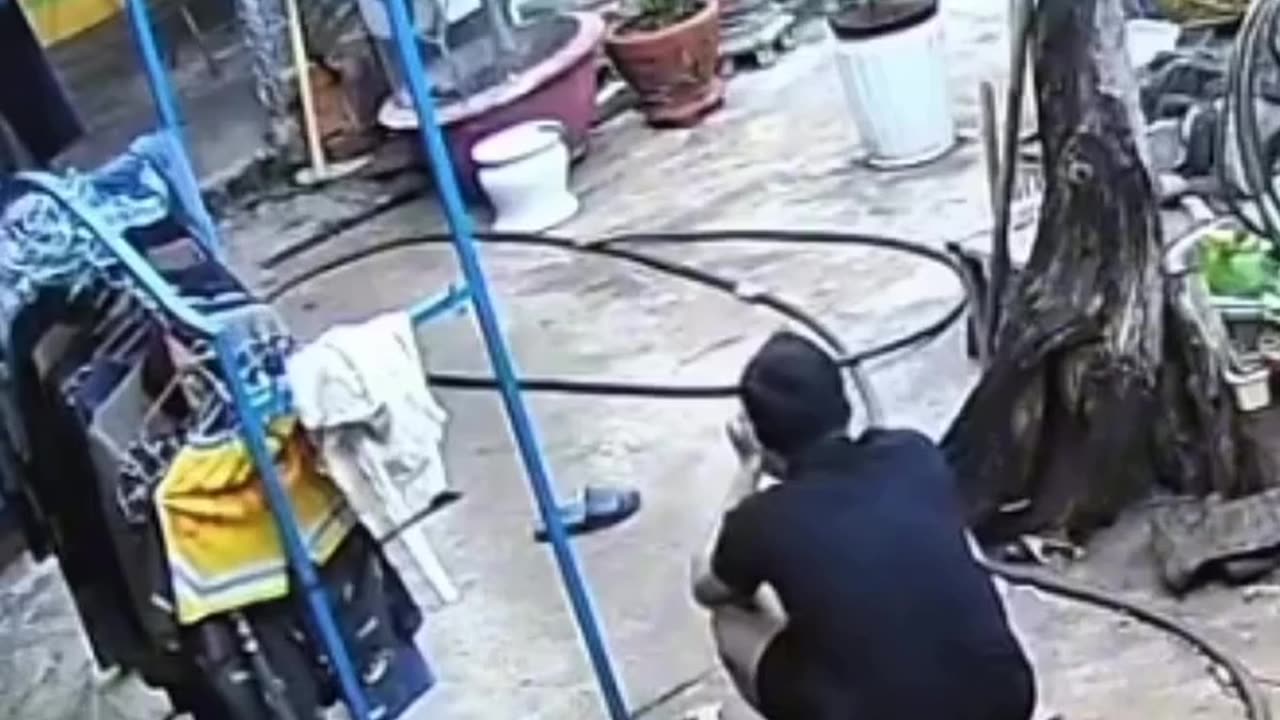 😂🐦 To Save the Bird | FunFM