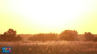 ☀️ DEEP HOUSE 🏝️ SUMMER 🏝️ CHILL 🏝️ BEST MIX 2025 Vol. 11