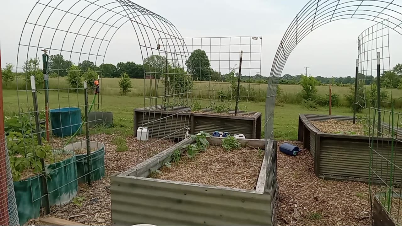 May 15 2025 Garden