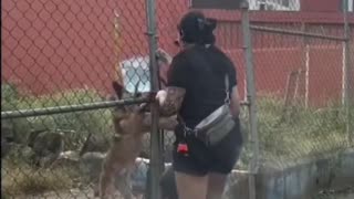 Thank you..🐕🐾🥺