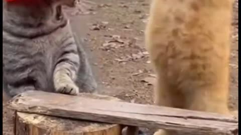 That annoying coworker who provokes you until you lose your temper 🤣