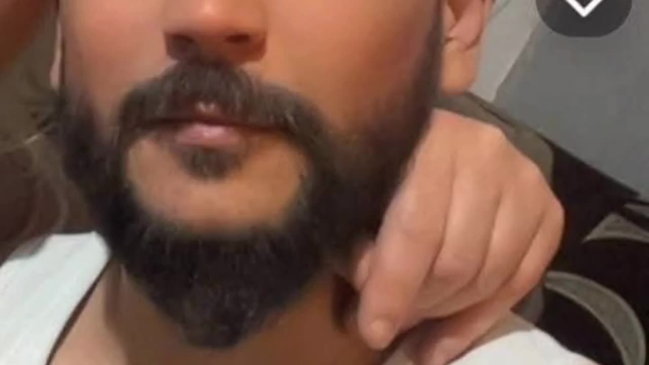 Mudshark gets attacked