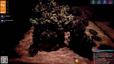 24/7 Real Live Reef Stream