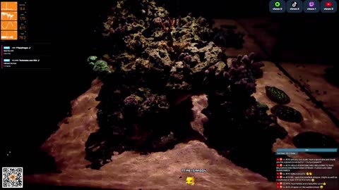 24/7 Real Live Reef Stream