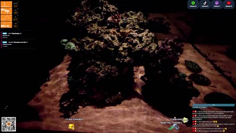 24/7 Real Live Reef Stream