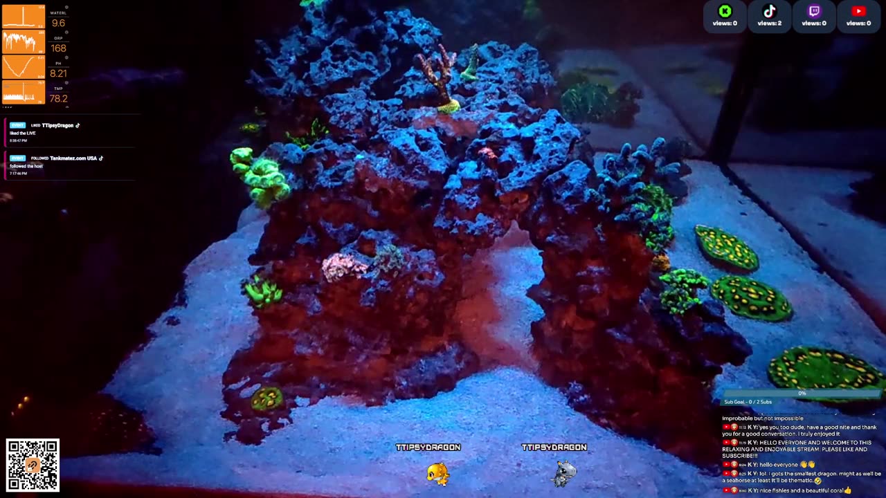 24/7 Real Live Reef Stream