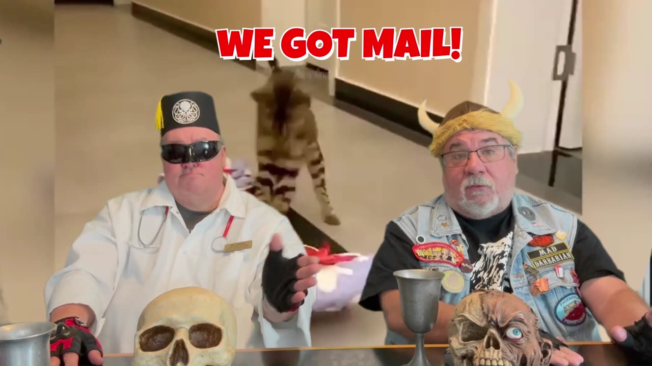 CC MAIL CAT N CANARY