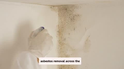 Safe and Licensed Mold and Asbestos Eliminations