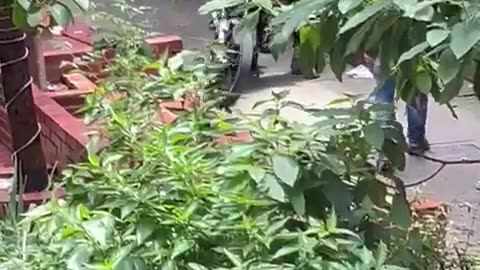 Video registró brutal golpiza que recibió una mujer en Piedecuesta