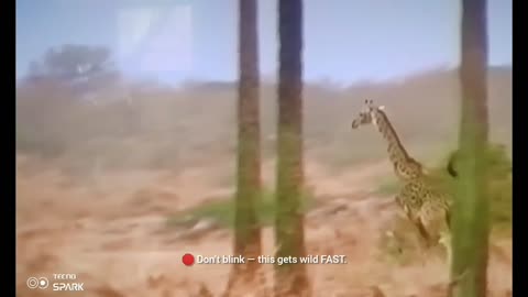 Giraffe vs Lion: The Most Unexpected Ending in the Wild! 🦁💥🦒