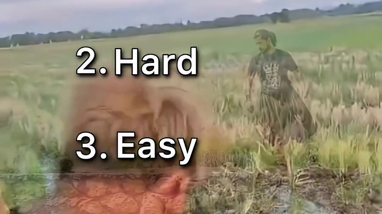 🤣🤣