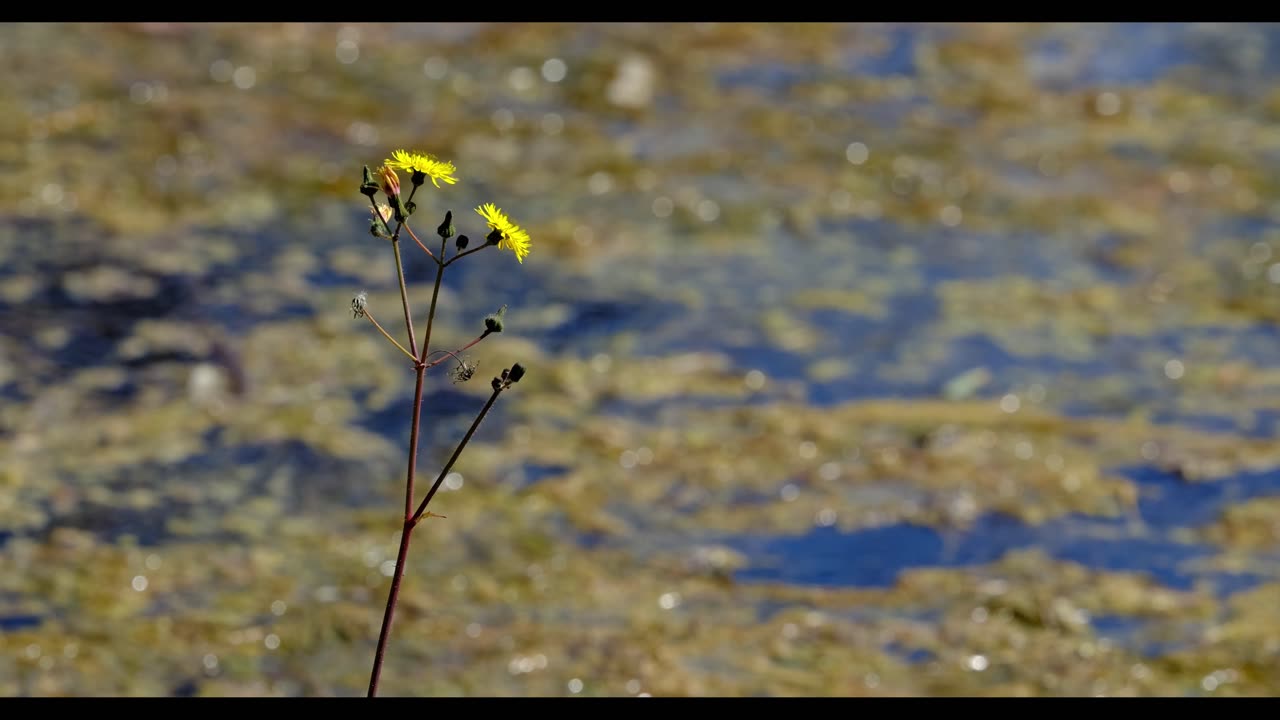 Into Light - Human Archive