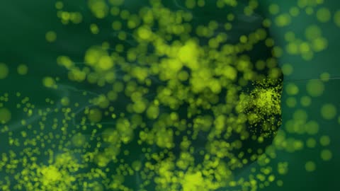 A.Users.Guide.to.Cheating.Death