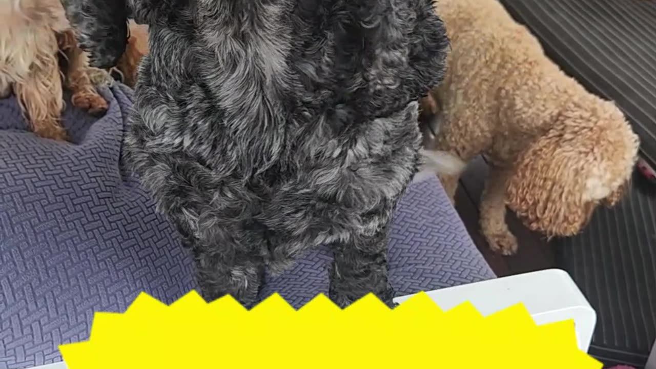 Pat ME Please!
