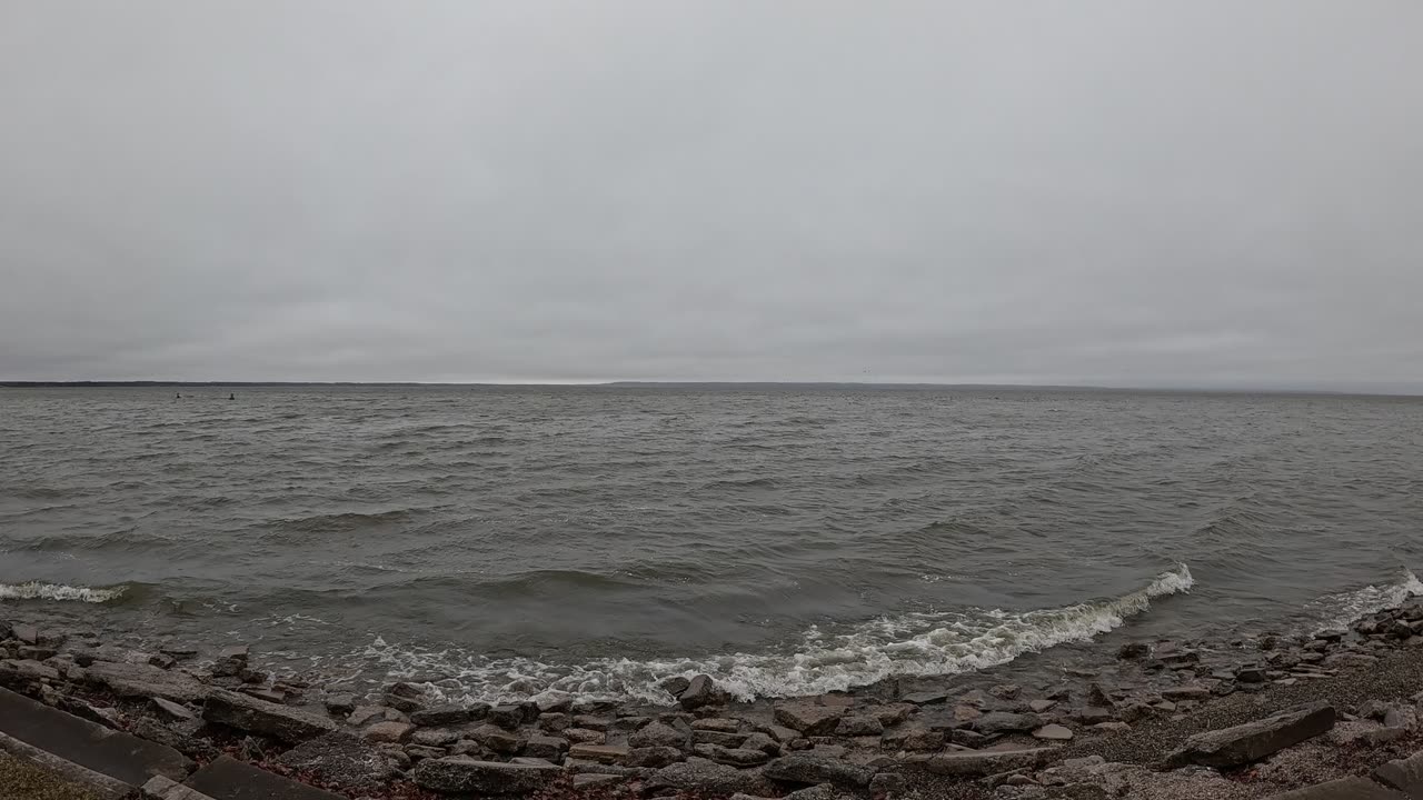 A Gray Day