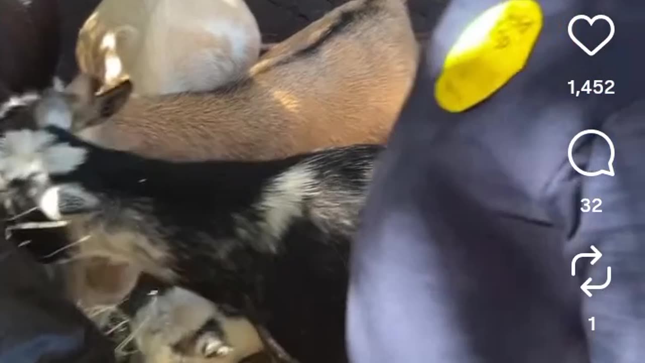 ***FUNNY**** " "There's a Black one"