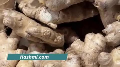 Garmi me Adrak khane ke fayde