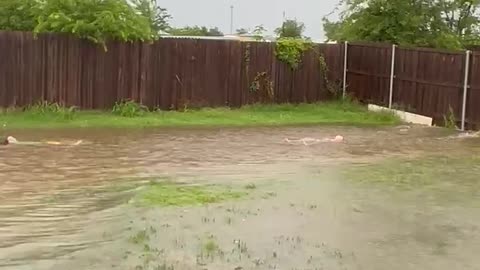 Who Needs A Pool When The Yard Is Flooded
