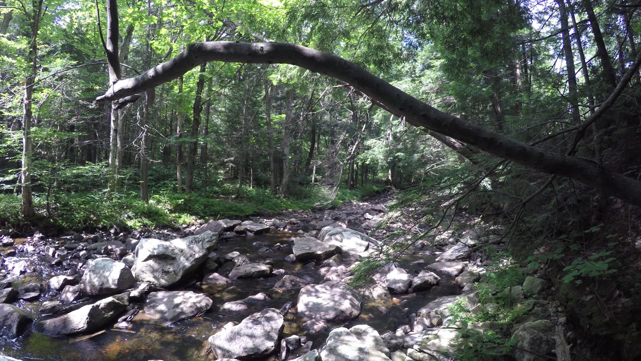 Thursday, June 8, 2023, Camping off the Long Trail in Vermont