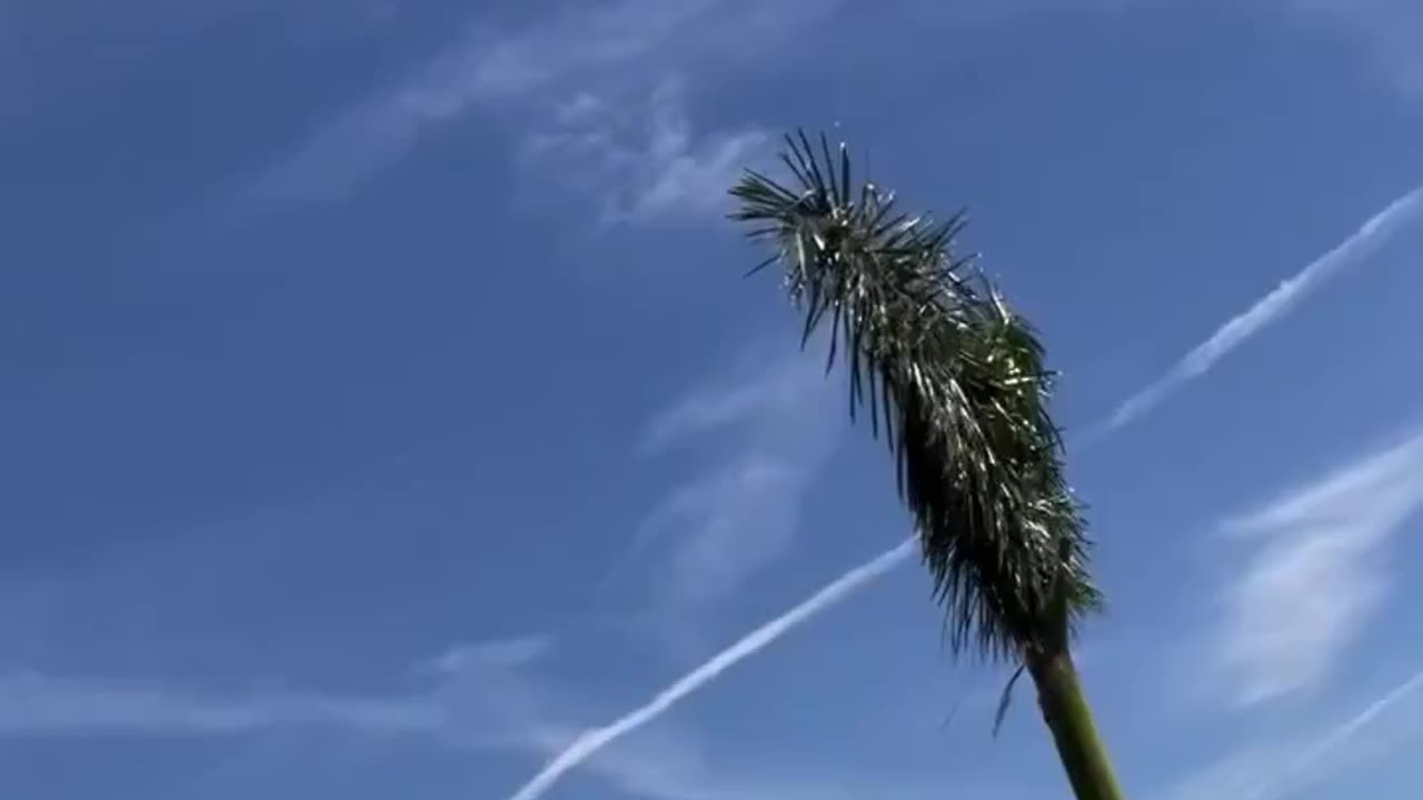 Jim Breuer Calls Out DeSantis, Demands an Explanation for Chem Trails