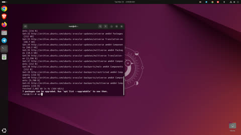 Ubuntu 24.10 Linux Installation Service