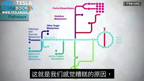 Seth ✝️ - 关于伊维菌素的重要信息📢。在你服用之前⚠️，这是一段必看的视频🎥