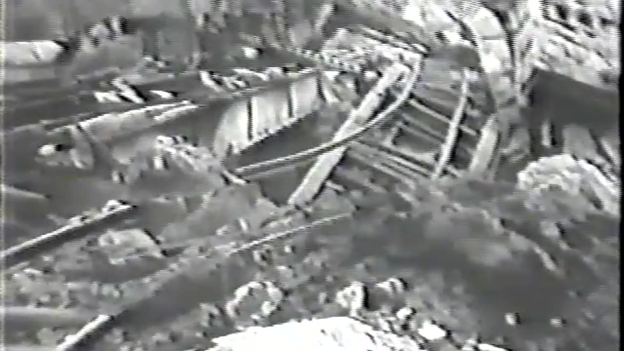 D100. Wehrmacht in Combat3