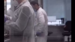 GMO Mosquitoes