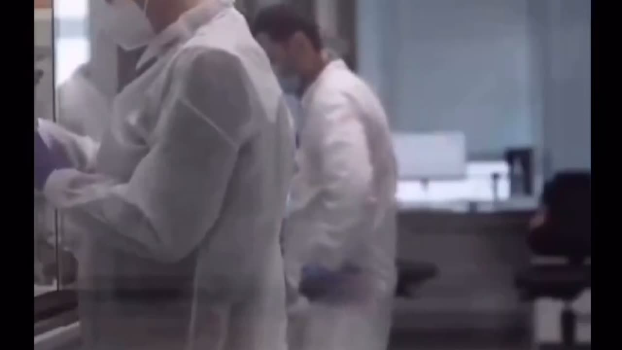 GMO Mosquitoes