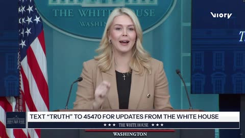 ''You're a left-wing hack' - Leavitt lashes out at journalist over ICE question