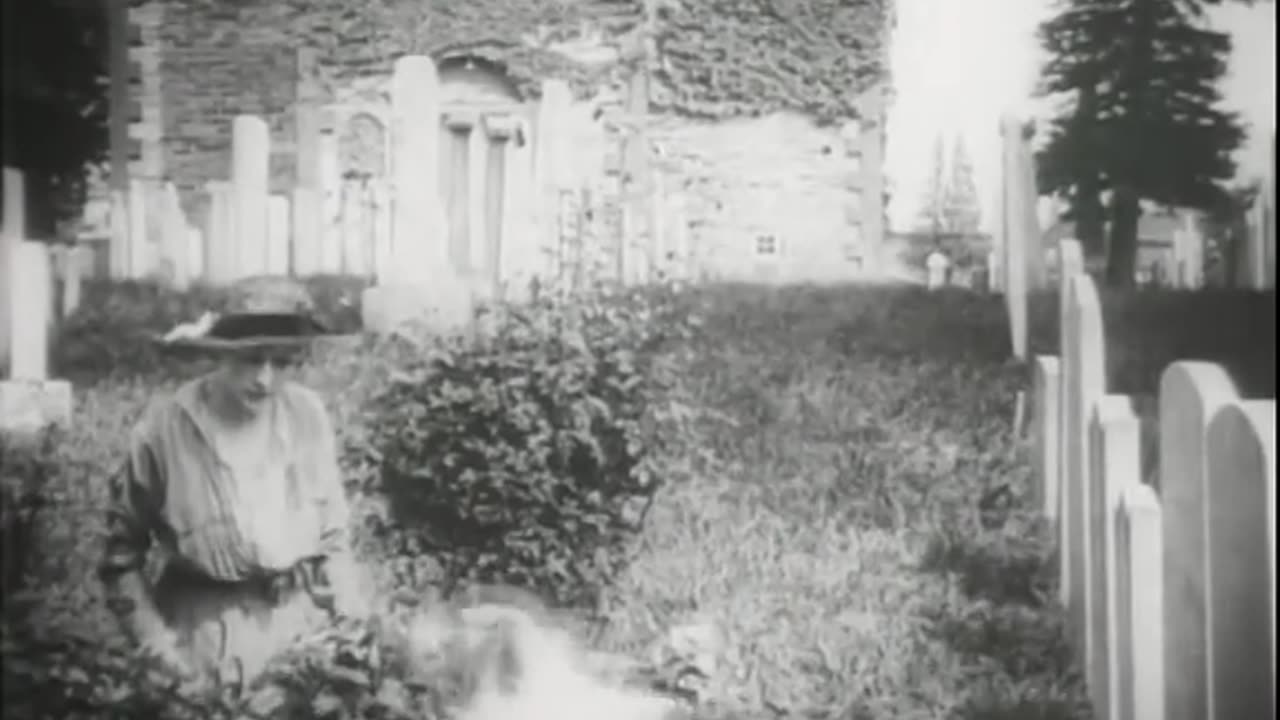 A Dog's Love (1914)