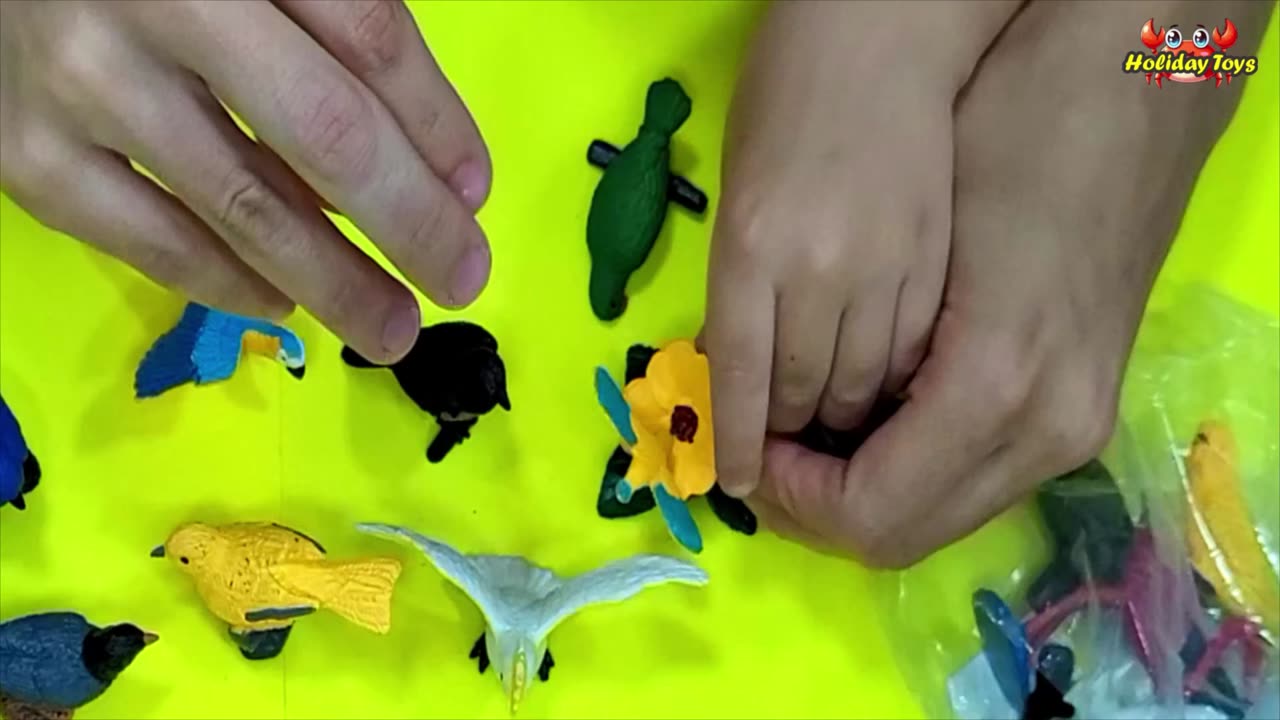 Arrange Aquatic Animals on the Wood Before Entering Pond