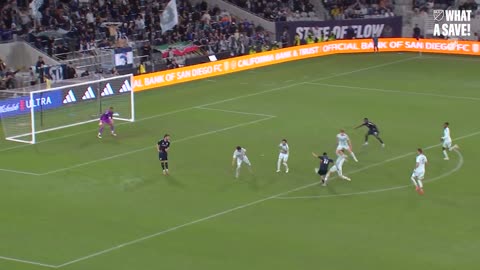 Major League Soccer - Cat-like reflexes on display during Matchday 13! 🧤